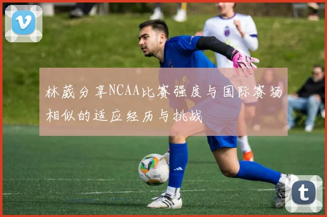 林葳分享NCAA比赛强度与国际赛场相似的适应经历与挑战